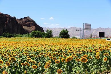 《刺客信条：幻景》PC版性能分析：流畅运行无压力
