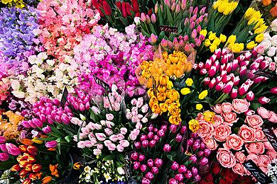 玩具兵团奇幻冒险 《Tin Hearts》确定5月16日steam发行